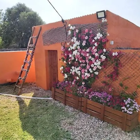 Quinta Das Noras - Moradia Com Piscina E Jacuzzi * ألغوز